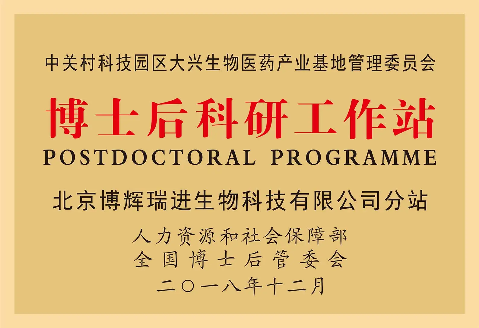 postdoctoral programme